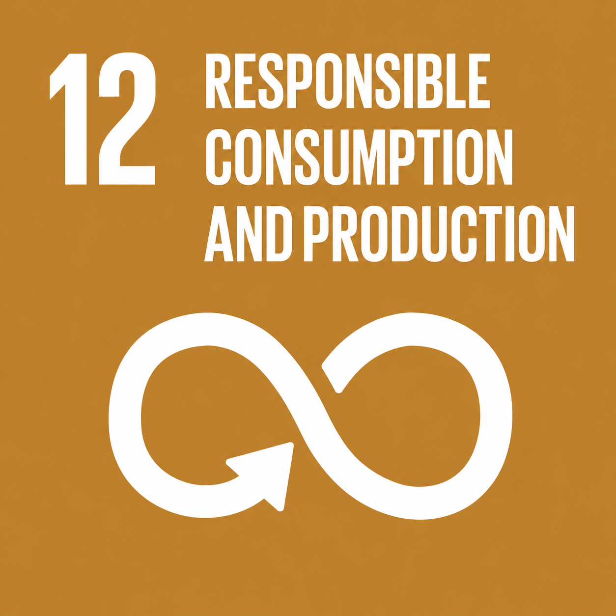 SDG 12: Responsible Consumption and Production