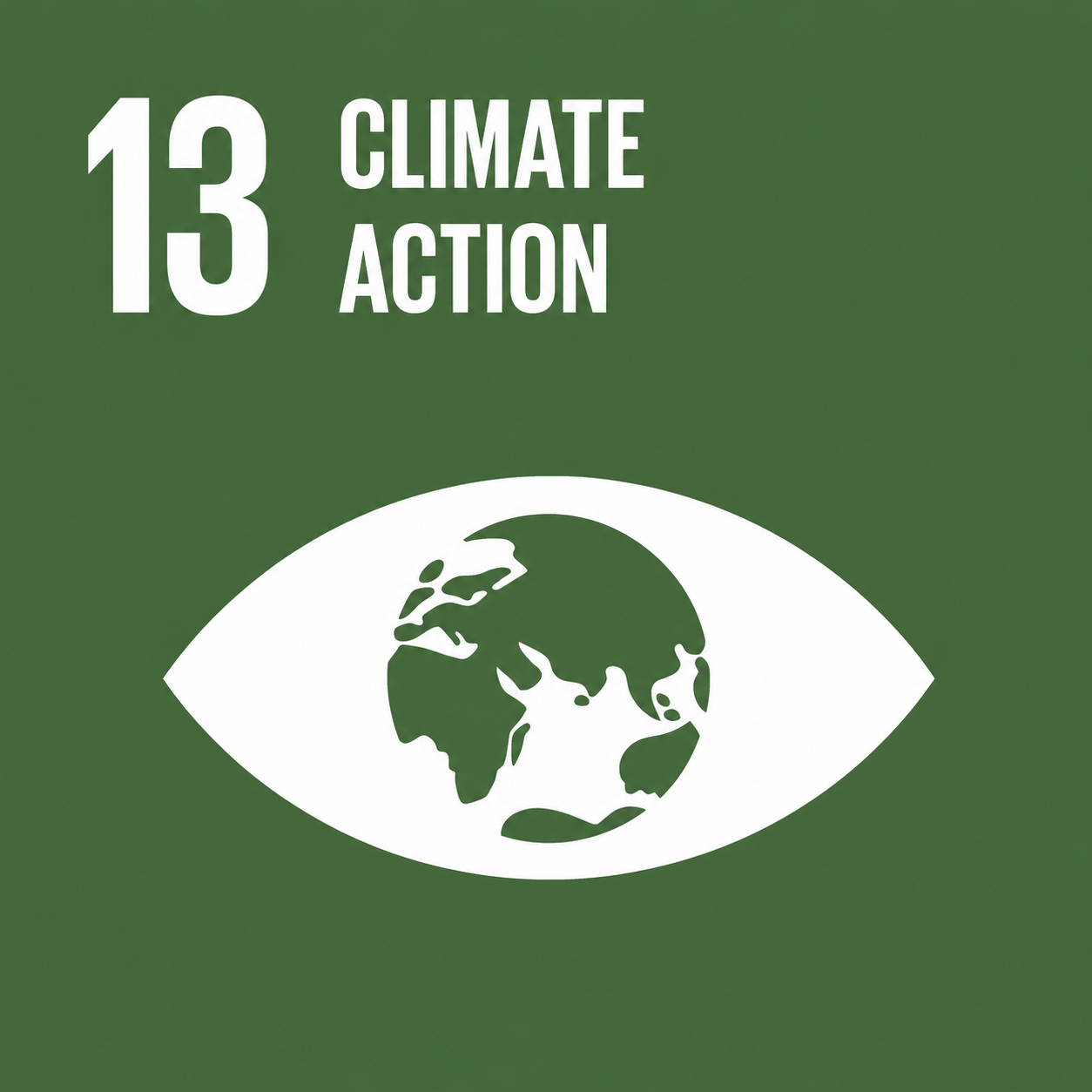SDG 13: Climate Action